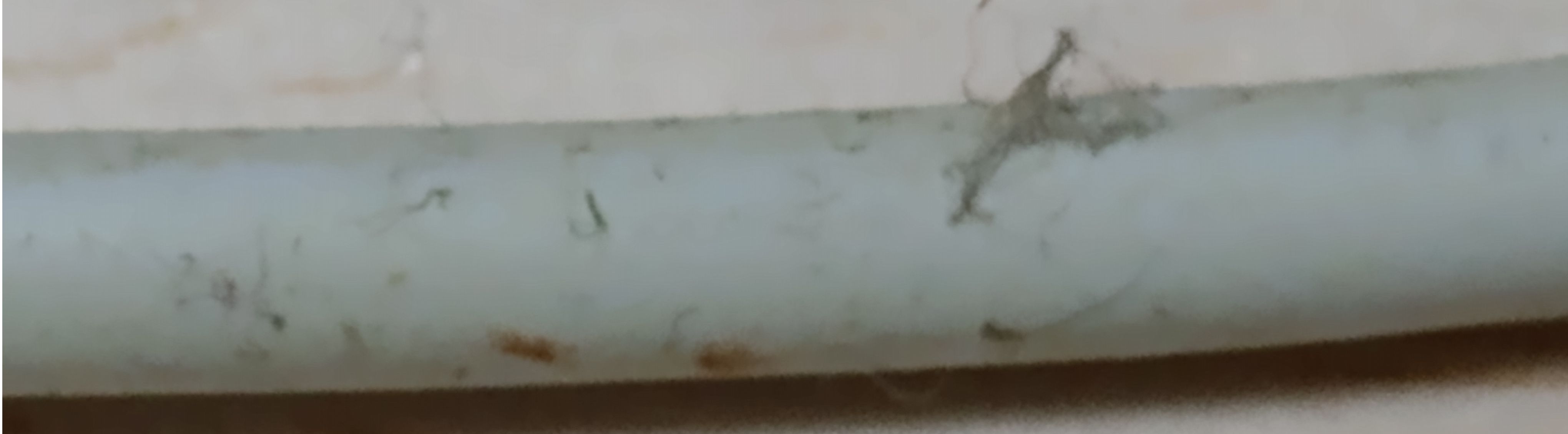 汚い様子6